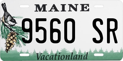 ME license plate 9560SR