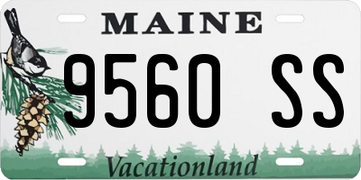 ME license plate 9560SS