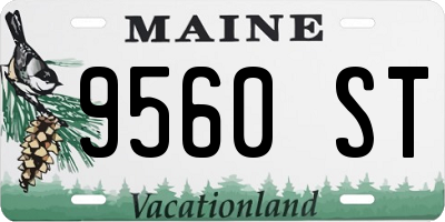 ME license plate 9560ST