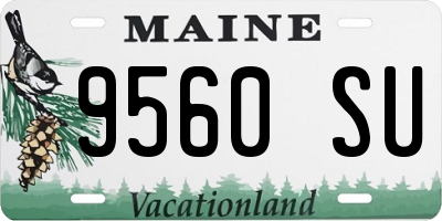 ME license plate 9560SU