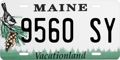 ME license plate 9560SY