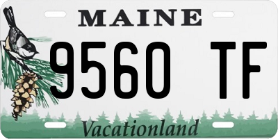 ME license plate 9560TF