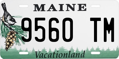ME license plate 9560TM