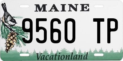 ME license plate 9560TP