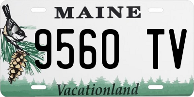 ME license plate 9560TV