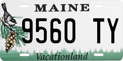 ME license plate 9560TY