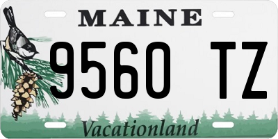 ME license plate 9560TZ