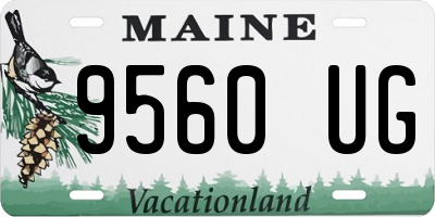 ME license plate 9560UG