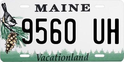 ME license plate 9560UH