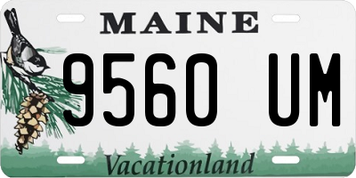 ME license plate 9560UM