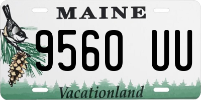 ME license plate 9560UU