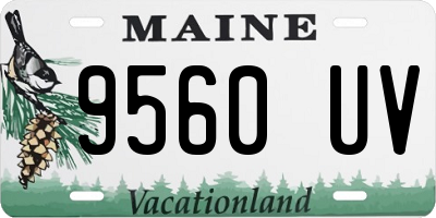 ME license plate 9560UV