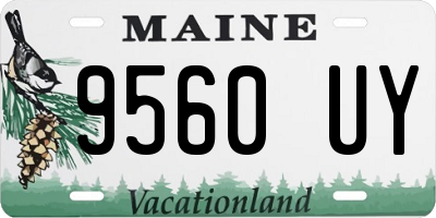 ME license plate 9560UY