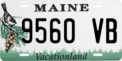 ME license plate 9560VB