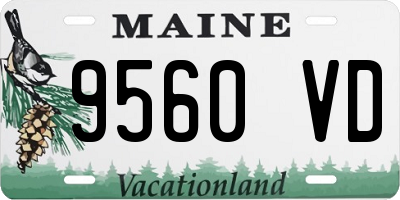 ME license plate 9560VD