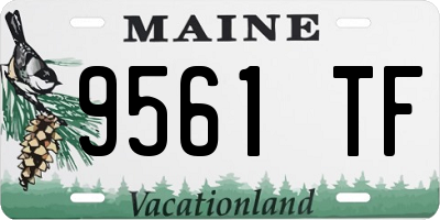 ME license plate 9561TF