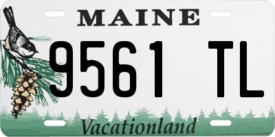 ME license plate 9561TL