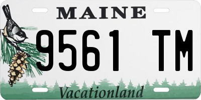 ME license plate 9561TM