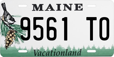 ME license plate 9561TO