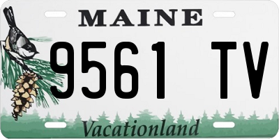 ME license plate 9561TV