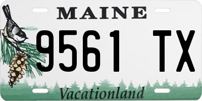 ME license plate 9561TX