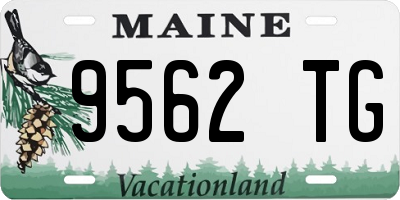 ME license plate 9562TG