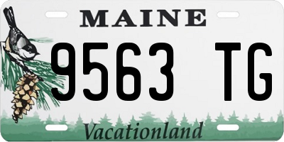 ME license plate 9563TG