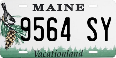 ME license plate 9564SY