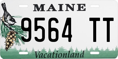ME license plate 9564TT