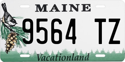 ME license plate 9564TZ