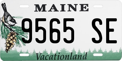 ME license plate 9565SE