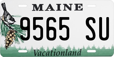 ME license plate 9565SU