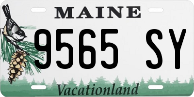 ME license plate 9565SY