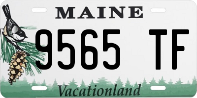 ME license plate 9565TF