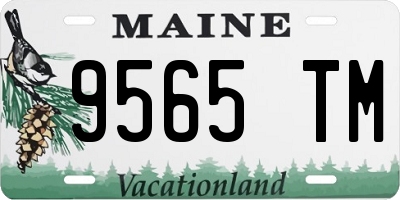 ME license plate 9565TM