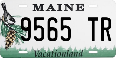 ME license plate 9565TR