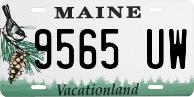 ME license plate 9565UW