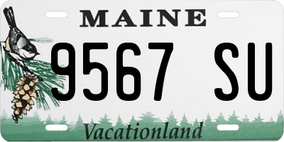 ME license plate 9567SU