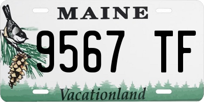 ME license plate 9567TF