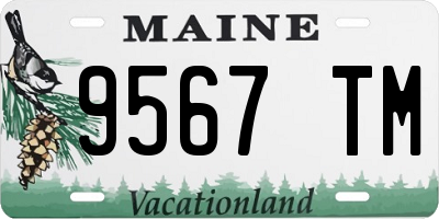 ME license plate 9567TM