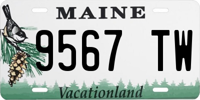 ME license plate 9567TW