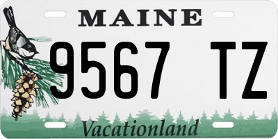 ME license plate 9567TZ