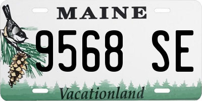 ME license plate 9568SE