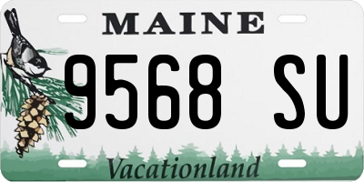 ME license plate 9568SU
