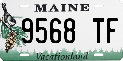 ME license plate 9568TF
