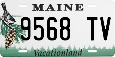 ME license plate 9568TV