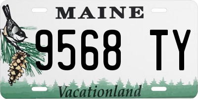 ME license plate 9568TY