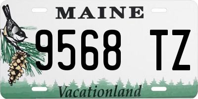 ME license plate 9568TZ