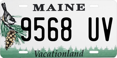 ME license plate 9568UV