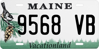 ME license plate 9568VB